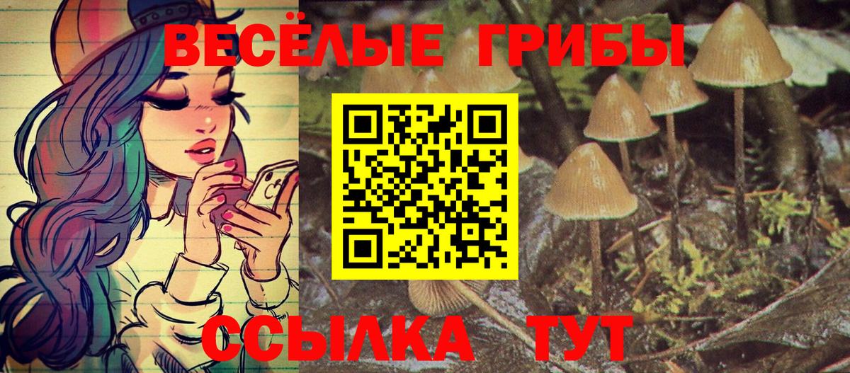 Галлюциногенные грибы Magic Shrooms  Галлюциногенные грибы Magic Shrooms  Вход с VPN  Кувандык 